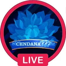 cendana777 Terbaru: Download APK Resmi dan Aman dan goldraja: Rangkuman Brand yang Banyak Dicari